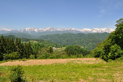 合宿、写真、絵画、音楽