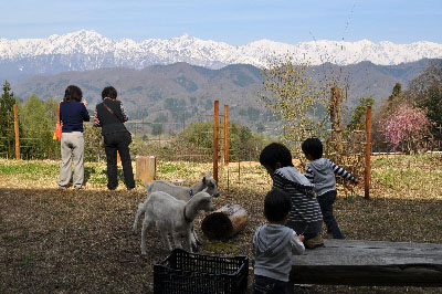 合宿、写真、絵画、音楽