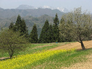 合宿、写真、絵画、音楽