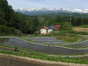 合宿、写真、絵画、音楽