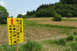 合宿、写真、絵画、音楽